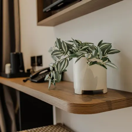 Radream & 4* Radhimë